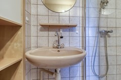 Lamsoor 3b Nieuwvliet-28.jpg